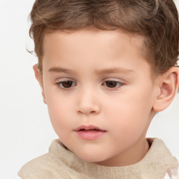 Neutral white child male with short  brown hair and brown eyes