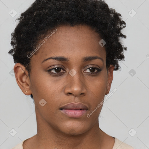 Neutral black young-adult female with short  brown hair and brown eyes