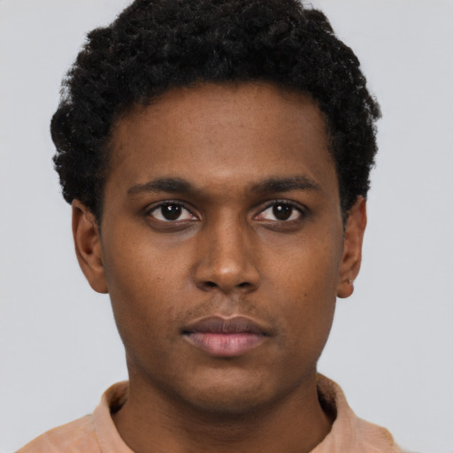 Neutral black young-adult male with short  brown hair and brown eyes