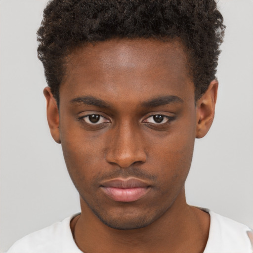 Neutral black young-adult male with short  brown hair and brown eyes