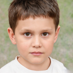 Neutral white child male with short  brown hair and brown eyes