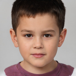 Joyful white child male with short  brown hair and brown eyes