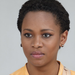 Neutral black young-adult female with short  brown hair and brown eyes