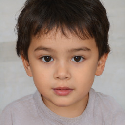 Neutral white child male with short  brown hair and brown eyes