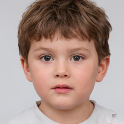 Neutral white child male with short  brown hair and brown eyes