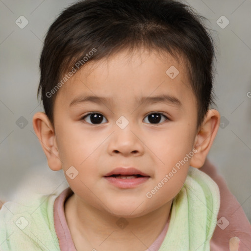 Neutral white child male with short  brown hair and brown eyes