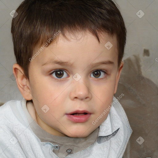 Neutral white child male with short  brown hair and brown eyes