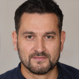 Neutral white adult male with short  brown hair and brown eyes