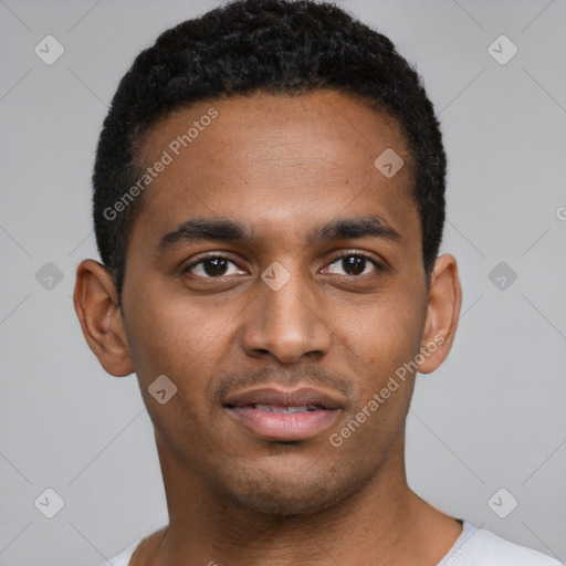 Joyful black young-adult male with short  black hair and brown eyes