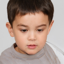 Neutral white child male with short  brown hair and brown eyes