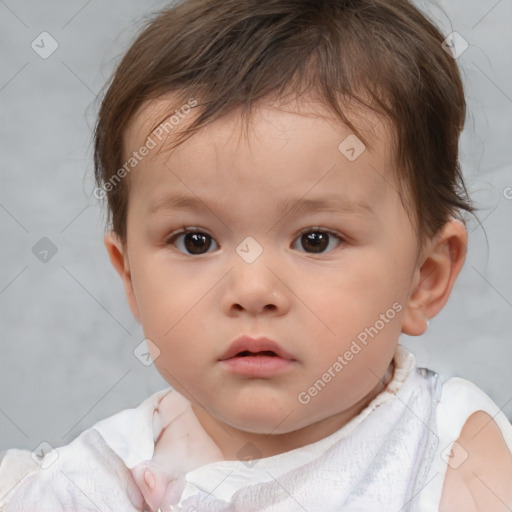 Neutral white child male with short  brown hair and brown eyes