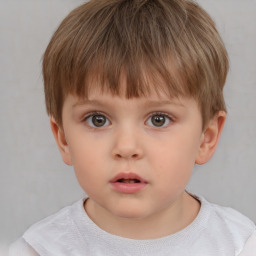 Neutral white child male with short  brown hair and brown eyes