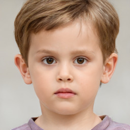 Neutral white child male with short  brown hair and brown eyes