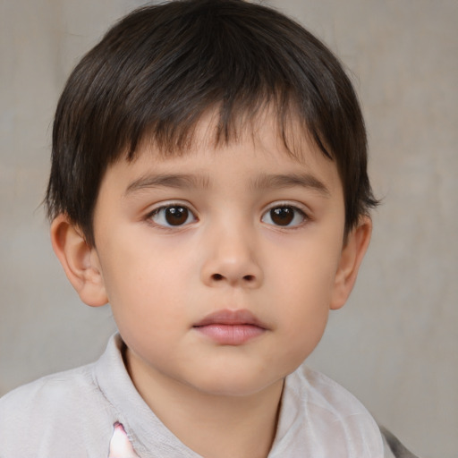 Neutral white child male with short  brown hair and brown eyes