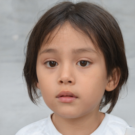 Neutral white child female with medium  brown hair and brown eyes