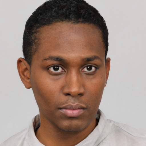 Neutral black young-adult male with short  black hair and brown eyes