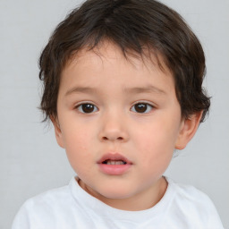 Neutral white child male with short  brown hair and brown eyes