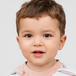 Neutral white child male with short  brown hair and brown eyes