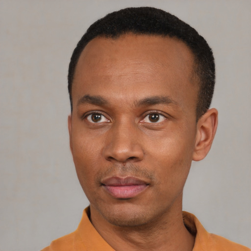 Joyful black young-adult male with short  black hair and brown eyes