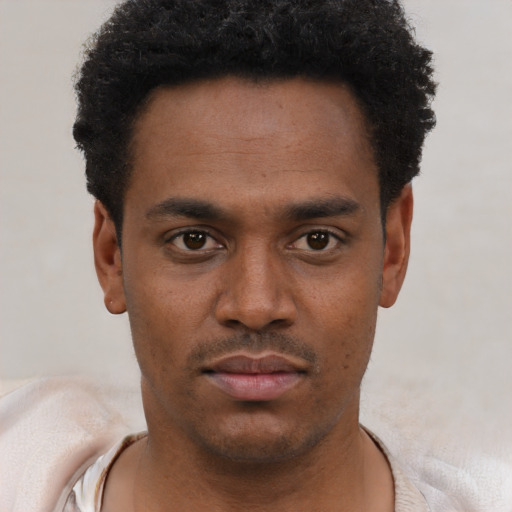 Neutral black young-adult male with short  black hair and brown eyes