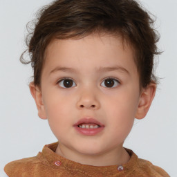 Neutral white child male with short  brown hair and brown eyes