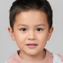 Neutral white child male with short  brown hair and brown eyes