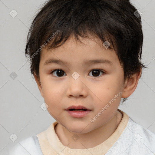 Neutral white child male with short  brown hair and brown eyes