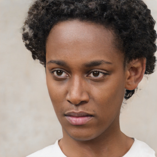 Neutral black young-adult female with short  brown hair and brown eyes