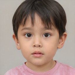 Neutral white child female with short  brown hair and brown eyes