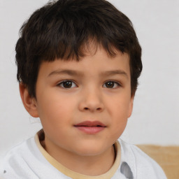 Neutral white child male with short  brown hair and brown eyes