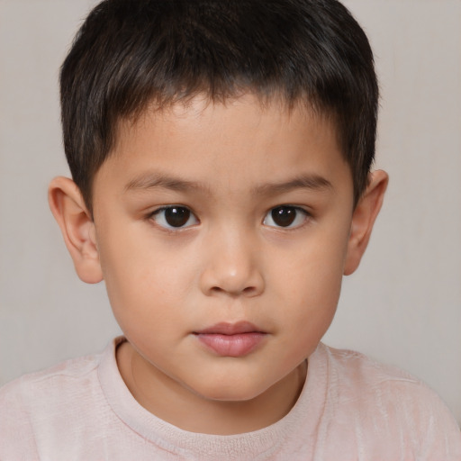 Neutral white child male with short  brown hair and brown eyes