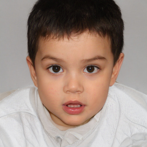 Neutral white child male with short  brown hair and brown eyes