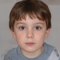 Neutral white child male with short  brown hair and brown eyes