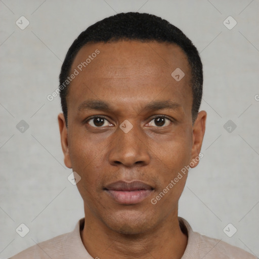 Neutral black young-adult male with short  black hair and brown eyes