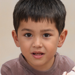 Joyful white child male with short  brown hair and brown eyes