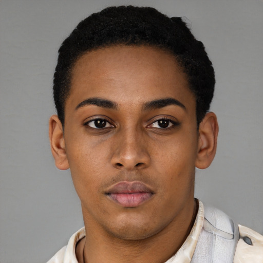 Neutral black young-adult female with short  brown hair and brown eyes