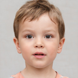 Neutral white child male with short  brown hair and brown eyes