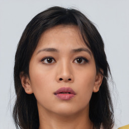 Neutral asian young-adult female with long  brown hair and brown eyes