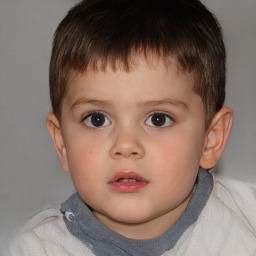 Neutral white child male with short  brown hair and brown eyes