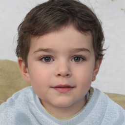 Neutral white child male with short  brown hair and brown eyes