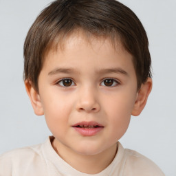 Neutral white child male with short  brown hair and brown eyes