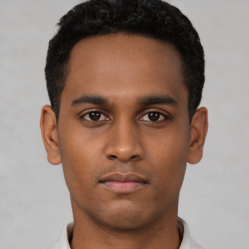 Neutral black young-adult male with short  black hair and brown eyes