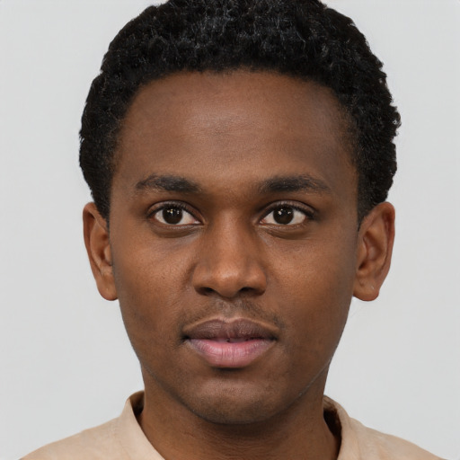 Neutral black young-adult male with short  brown hair and brown eyes
