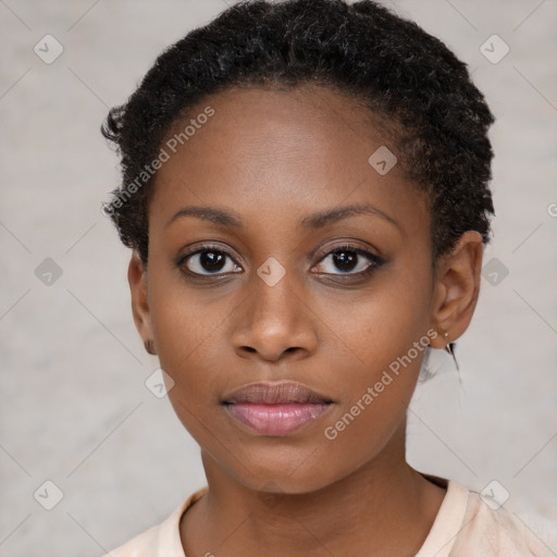 Neutral black young-adult female with short  brown hair and brown eyes