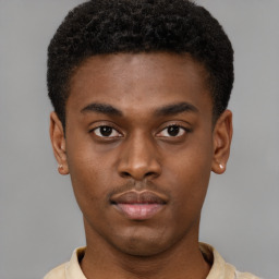 Neutral black young-adult male with short  brown hair and brown eyes