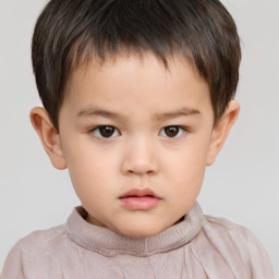 Neutral white child male with short  brown hair and brown eyes