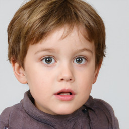 Neutral white child male with short  brown hair and grey eyes