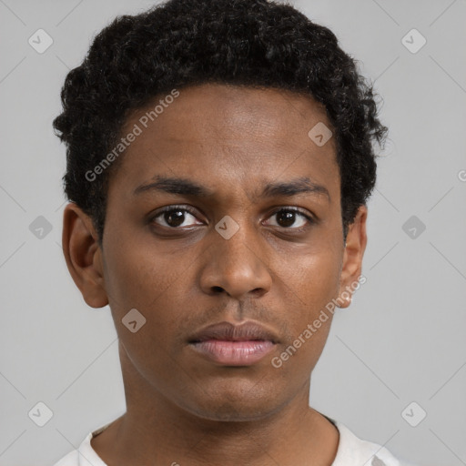 Neutral black young-adult male with short  brown hair and brown eyes