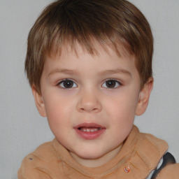 Neutral white child male with short  brown hair and brown eyes
