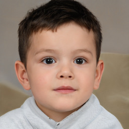 Neutral white child male with short  brown hair and brown eyes